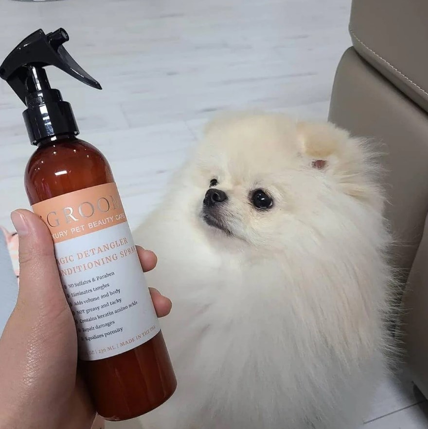 Front Page -Frankroweandson Shop Dingtalk 20240330154834