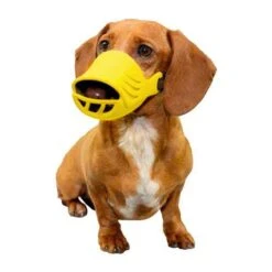 Artero Silicone Muzzles Set Of 4 -Frankroweandson Shop amuzzle 2 1 1