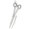 Artero Satin Curvy 7.5in Shears -Frankroweandson Shop at47375 00
