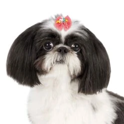 Aria Bonita Bows 100 Count -Frankroweandson Shop dt1020 99 003