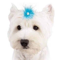 Aria Sparkle Feather Bows 100-Piece Canisters 15 Aria Sparkle Feather Bows 100-Piece Canisters -Frankroweandson Shop dt1058 99 007