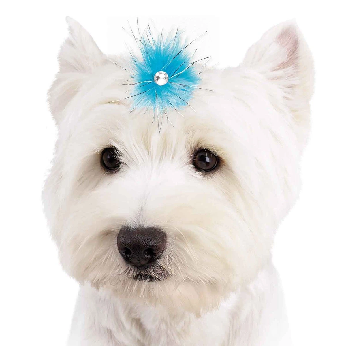 Aria Sparkle Feather Bows 100-Piece Canisters 9 Aria Sparkle Feather Bows 100-Piece Canisters - Image 7