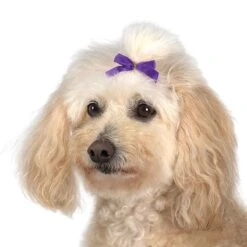 Aria Multi Color Bow Canister 3/8In 100Pc 13 Aria Multi Color Bow Canister 3/8In 100Pc -Frankroweandson Shop dt161 99 006