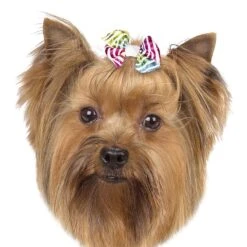 Aria Zoey Bows Canister, 48 Pc 7 Aria Zoey Bows Canister, 48 Pc -Frankroweandson Shop dt5642 48 003