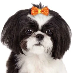 Aria Sunshine Bow Canisters 40 Pcs -Frankroweandson Shop dt9516 40 003 1