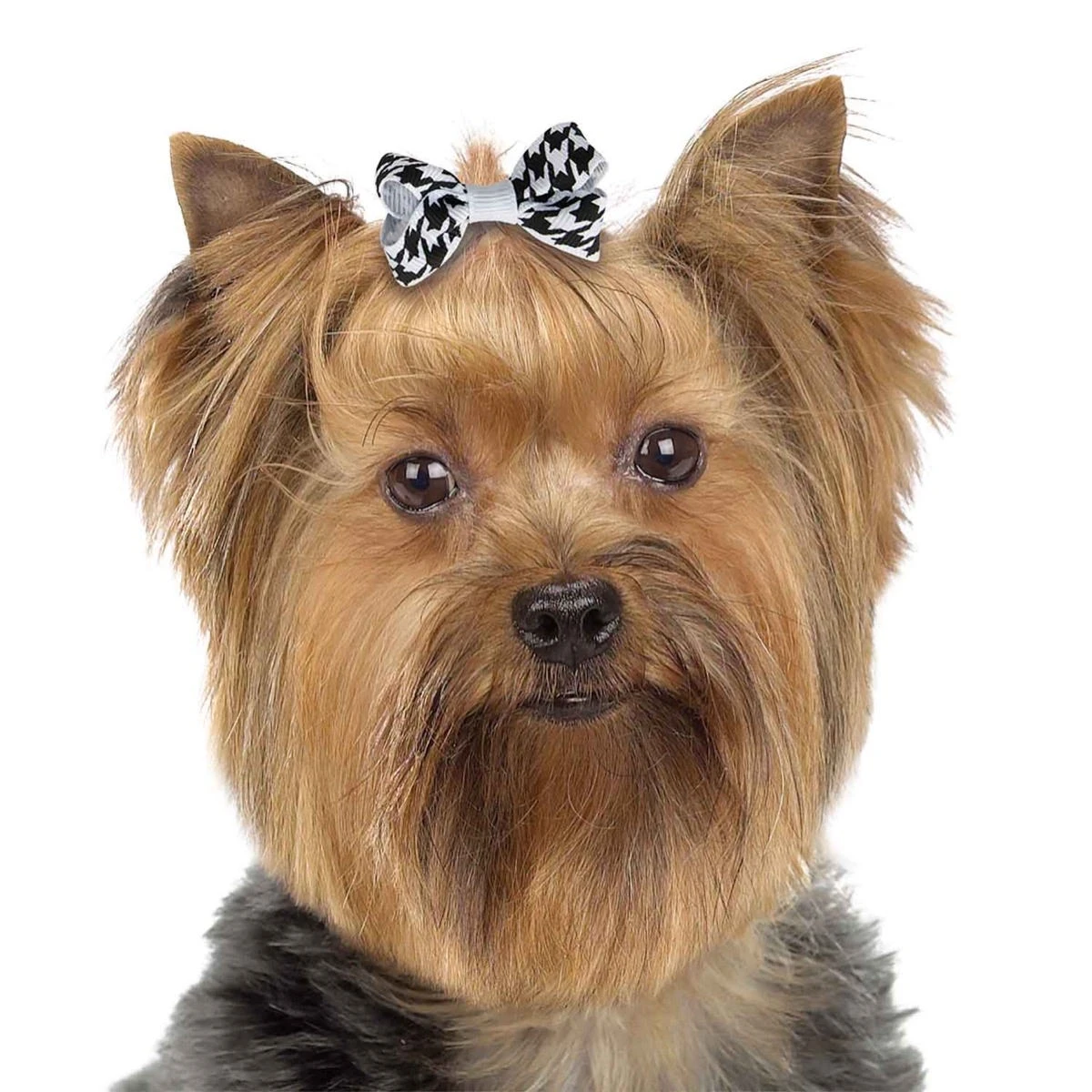 Aria Coco Bows 48-Piece Canisters 5 Aria Coco Bows 48-Piece Canisters - Image 3