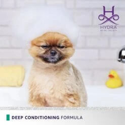 Hydra Flash Thermo Active Mask 13 Hydra Flash Thermo Active Mask -Frankroweandson Shop hthermomask 06