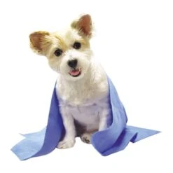 Top Performance Drying And Cooling Towel -Frankroweandson Shop tp2086 19 dogsitting 1