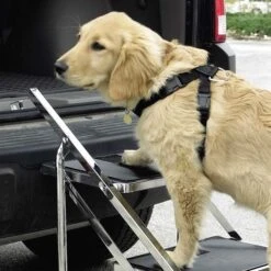 Master Equipment Pet Stairs For Grooming Tables And SUVs -Frankroweandson Shop tp38403 3