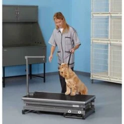 Master Equipment X-Tend Electric Grooming Table 17 Master Equipment X-Tend Electric Grooming Table -Frankroweandson Shop tp7144 4