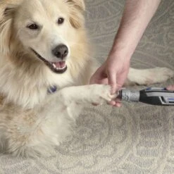 Dremel Cordless Variable Speed Nail Grinder Kit -Frankroweandson Shop zw7760 36b