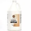Stazko Oatmeal Shampoo Gallon -Frankroweandson Shop zx0212 91 001 1 1
